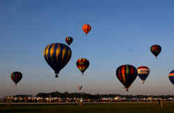 Sun 'n Fun Balloons in Bloom