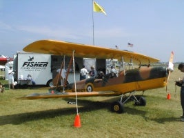 tigermoth