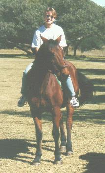 Horse Riding