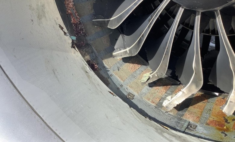 Damage to LEAP 1B