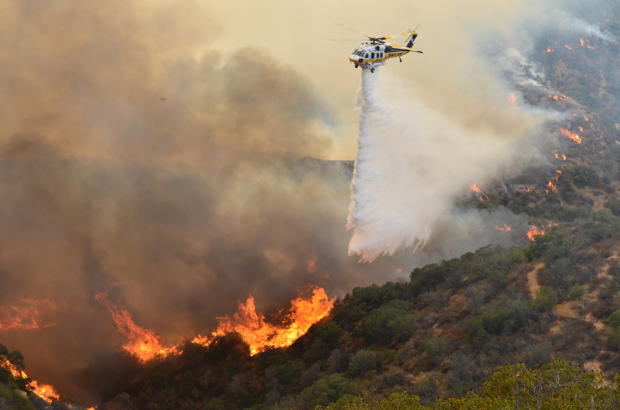 Firehawk fighting fire