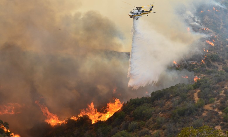 Firehawk fighting fire