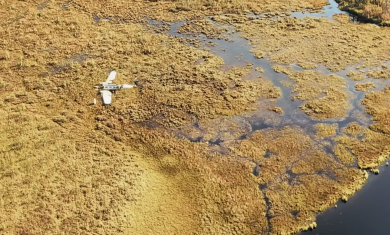 Lost in the Muskeg: The Plane Canada Forgot,