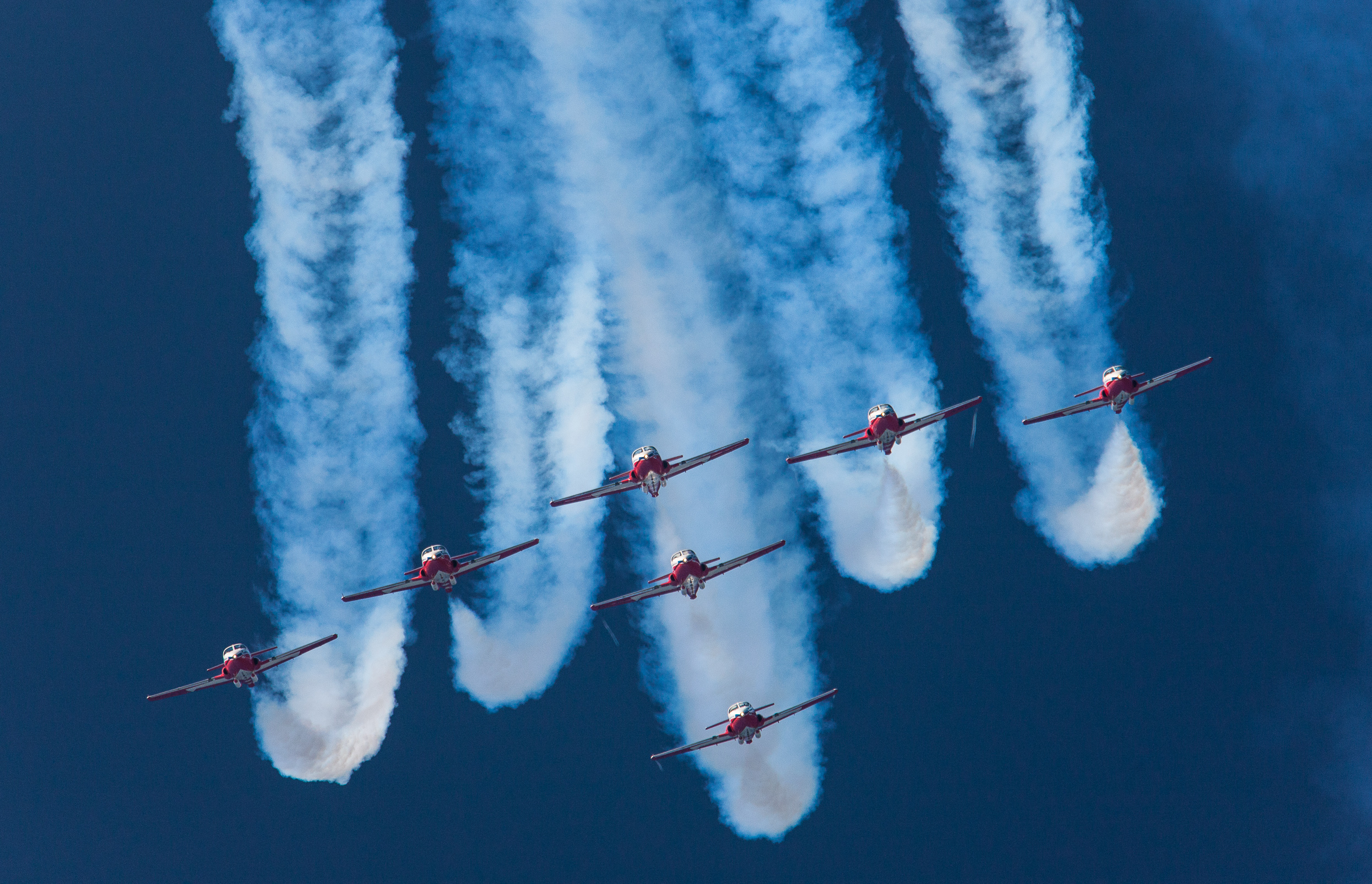 Picture of the day canada snowbirds
