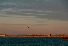 LAPP Seeks Cleveland Council Hearing On Burke Lakefront
