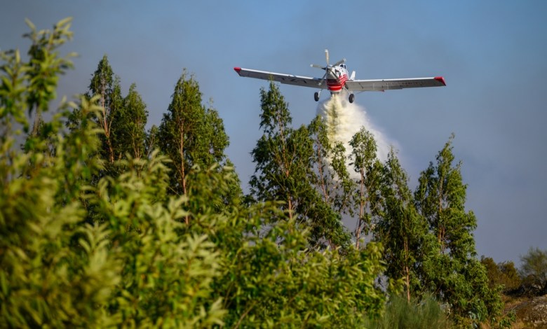 Minnesota Man Charged With Shooting Firefighting Aircraft