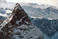 Picture of the Day: March 17, 2026